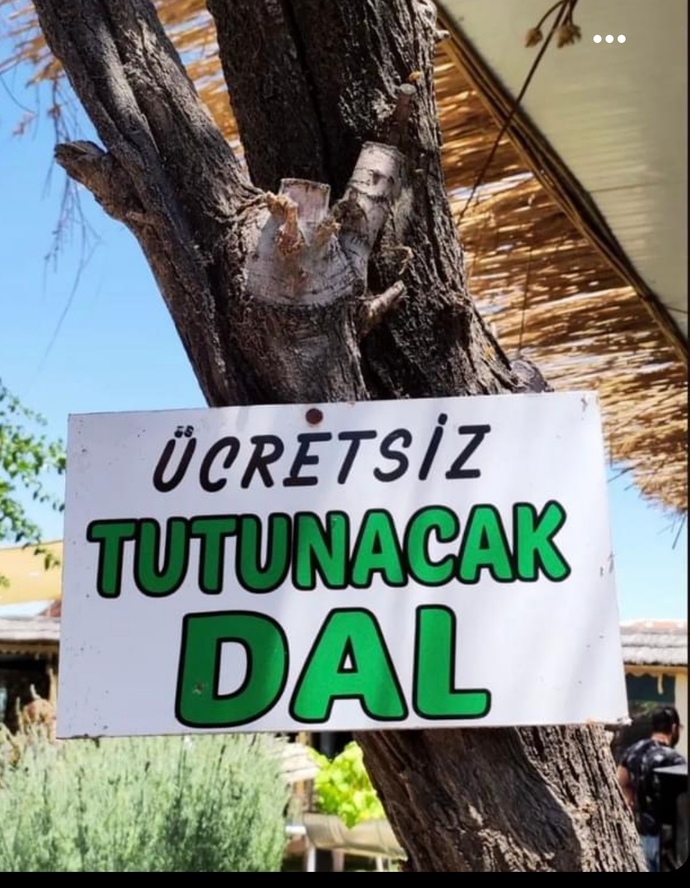 Var mı tutunacak bir dalınız?
