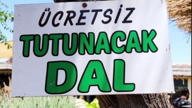 Var mı tutunacak bir dalınız?
