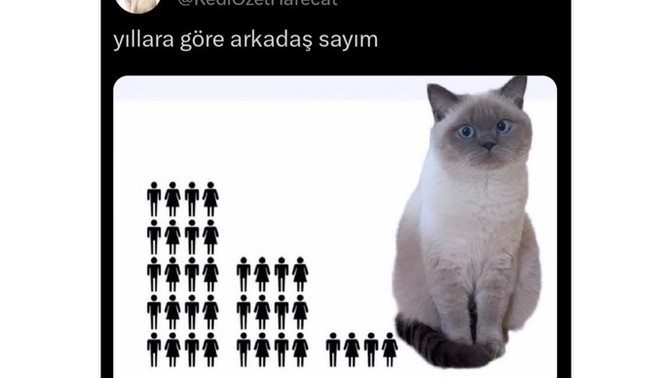 Yıllara göre arkadaş sayınız da artış mı var azalış mı?
