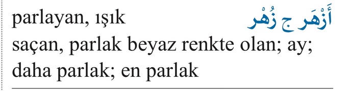 İsminizin anlamı ne, kim koymuş ve memnun musunuz?