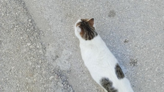 Sizin de böyle yol arkadaşlarınız var mı?