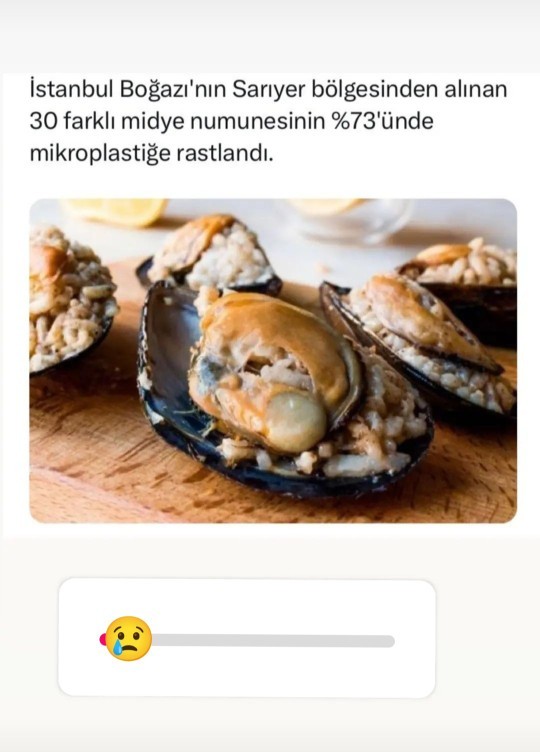 Midye severmisiniz?