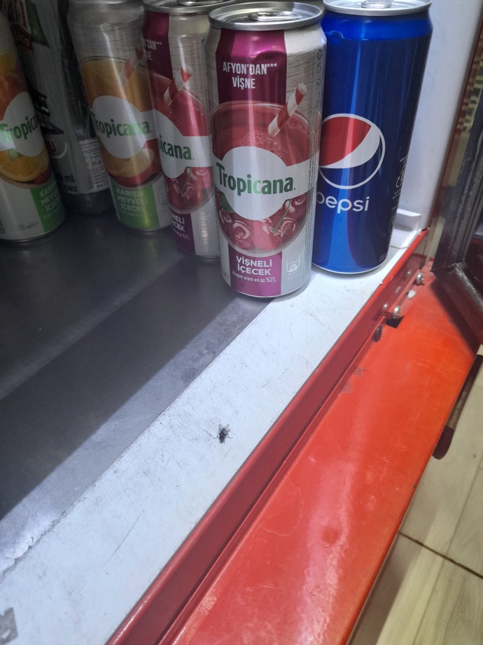Cabbar var benim yazın dolapta serinlerken fotoğrafı en sevdiği yemek güvercin pisliği