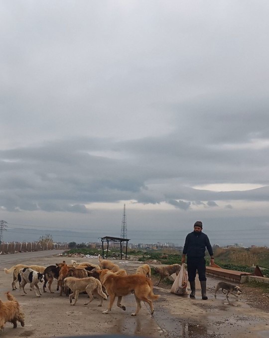 Evinizde beslediğiniz evcil hayvanınız var mı?