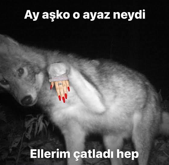 Hak ettiğiniz şeyler mi yaşıyorsunuz, hak etmediğiniz şeyler mi?