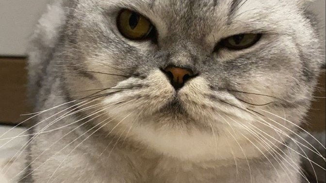 Eski sevgiliniz yardıma ihtiyacım var , zor durumdayım gelir misin dese ne cevap verirsiniz?