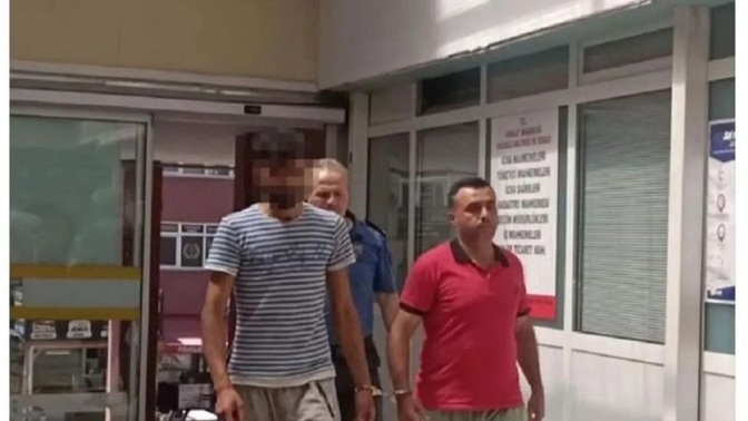 Ne kötü yaratıklar var görüyorsunuz değil mi bu şimdi erkek mi?