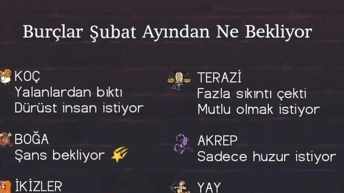 Şubat  ayından beklentiniz nedir?
