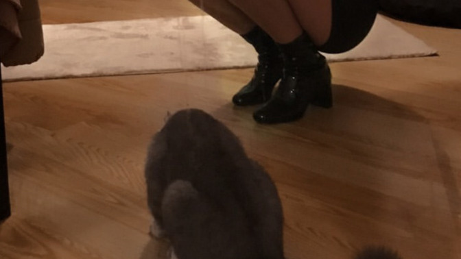Bugün küçük dostlarımıza mama veya su verdiniz mi?