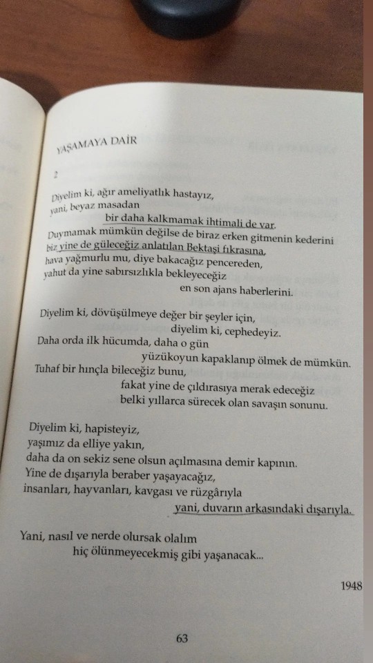 En sevdiğiniz şair ve şiir nedir?