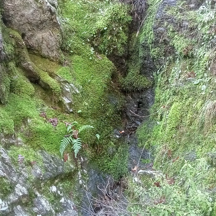 Manzara fotoğrafları çekmeyi sever misiniz?