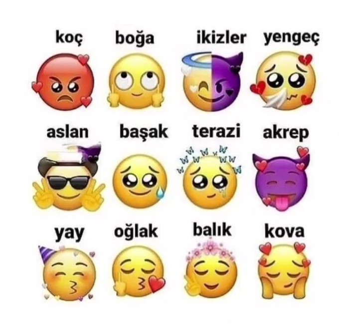 Ah şu İkizler🤣