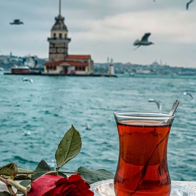 En sevdiğiniz hava durumu hangisi?