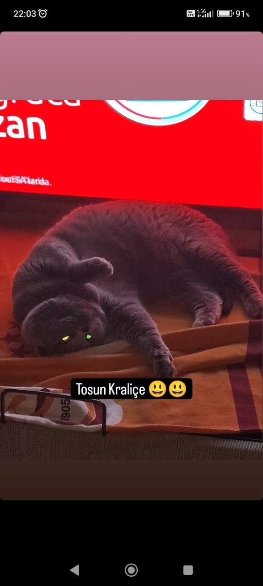 Instagram'da story olarak en son ne paylaştınız?