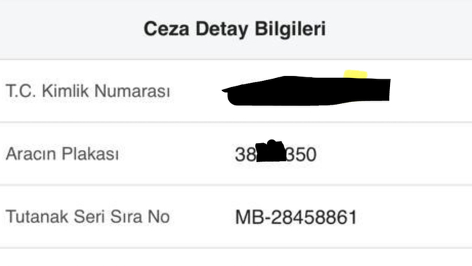 En son ne zaman trafik cezası yediniz?