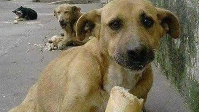 Gariban mısınız testi! Peki sizin sonuçlar nedir?