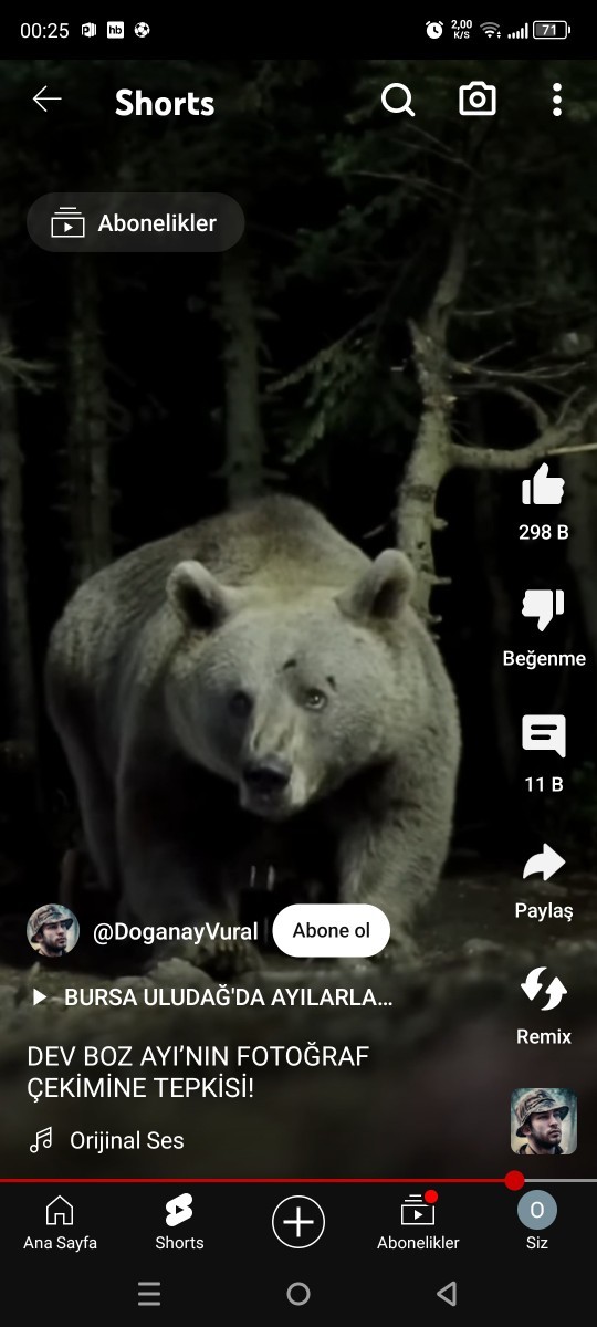 Bu ayı karşınıza çıksa ne yaparsınız?
