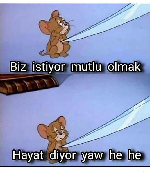 İmkanınız olsa ilk fırsatta şehrinizi mi değiştirirdiniz, ülkenizi mi?