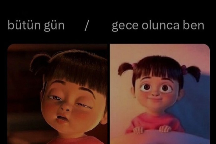 İyi geceler! Sizde tüm gün uykulu olup gece uyuyamayanlardan mısınız?