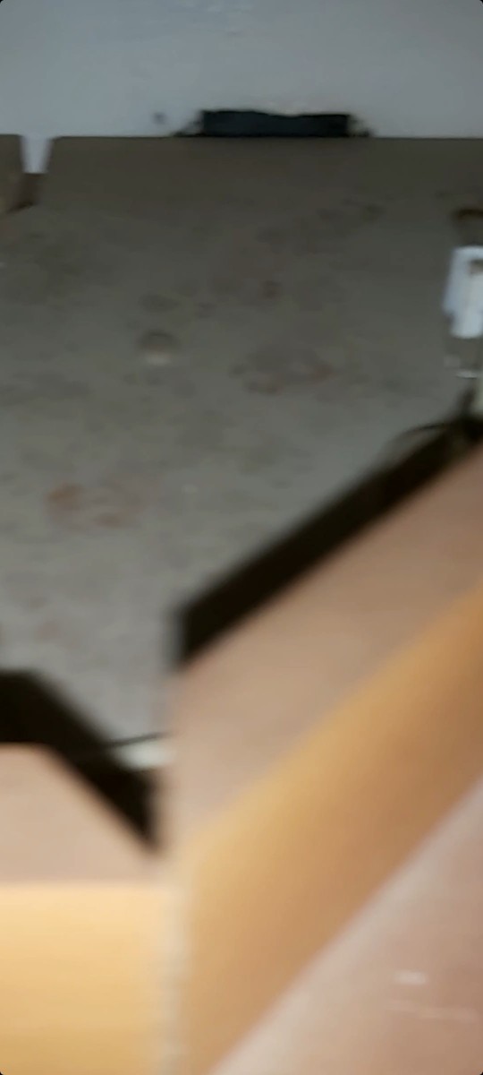 Bu hangi hayvanın ayak izi ne?