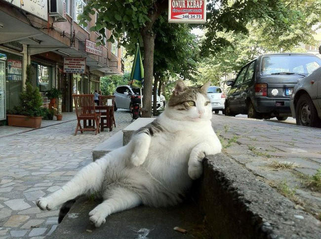 Arada bi hayat müsaade ediyor da soluklanıyoruz Allahtan.