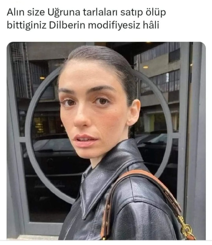Dilber hoşunuza gitmeyen neyse bı daha yapayım demişbu mayası bozukları gerçekten seven yücelten kim bu ülkede aw?