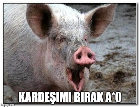 Bunlar helal mi?