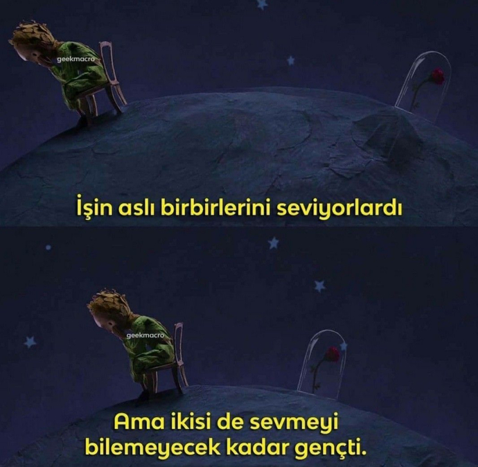 “Der kleine Prinz” kitabından