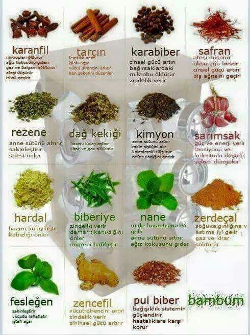 ⭐Yemeklerde baharatları en çok şifası için mi, faydalarını bilmeden lezzeti için mi tercih edersiniz, favori baharatınız hangisi⭐?