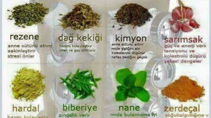 ⭐Yemeklerde baharatları en çok şifası için mi, faydalarını bilmeden lezzeti için mi tercih edersiniz, favori baharatınız hangisi⭐?