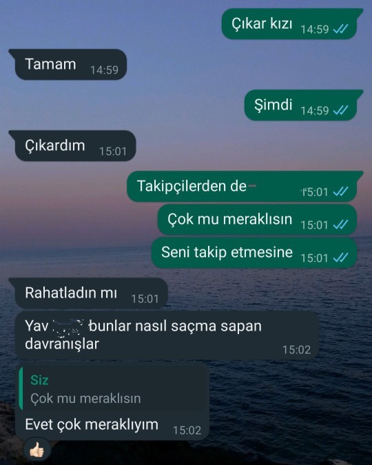 Erkek arkadaşıma bir kızı Instagramdan çıkarmasını istedim, verdiği tepkiye bakın. Normal mi?