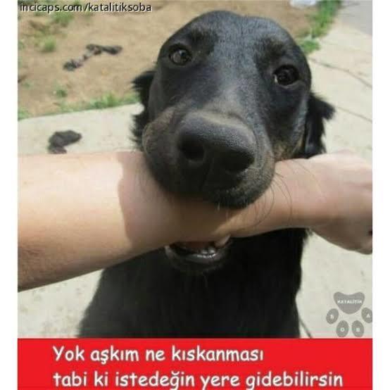 Kıskançmısınız yakışıklı güzel üyeleri?