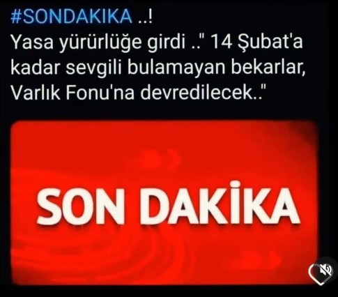 Bugüne kadar kaç kere sevgililer günü kutlaması yaptın?