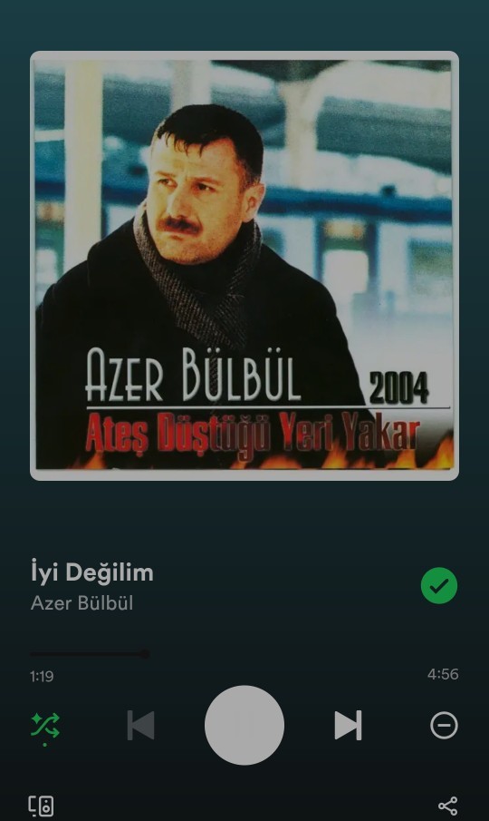 Geceye gürültülü bir şarkı bırakır mısınız?
