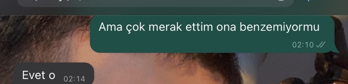 Nişanlımın eski kız arkadaşını gördüm, sinirlerim bozuldu. Hala sevmiyordur değil mi?