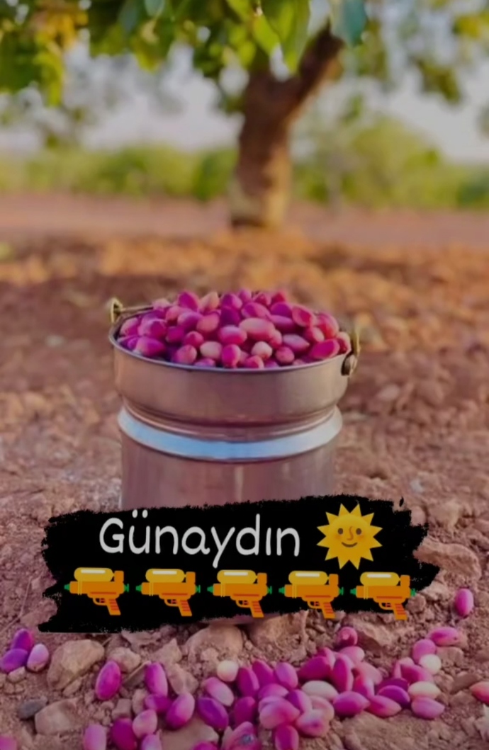 Günaydınnnn, şu an kimler nerede neler yapıyor?