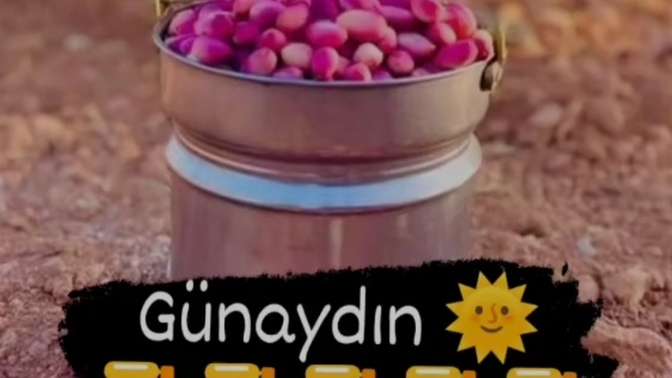 Günaydınnnn, şu an kimler nerede neler yapıyor?