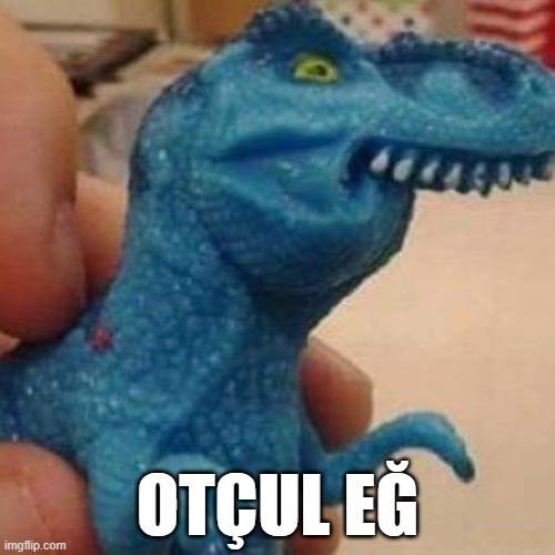 Etçil misin otçul mu?