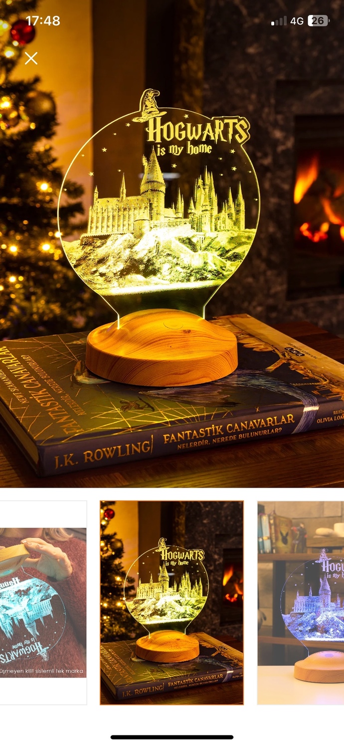 Sevgilim Harry Potter çok seviyor, bunlardan hangisi sizce?