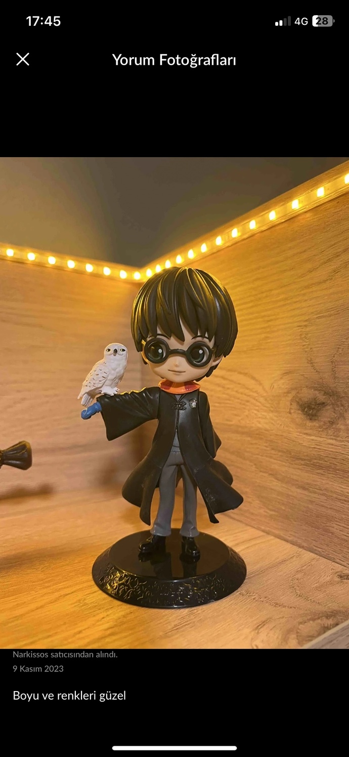 Sevgilim Harry Potter çok seviyor, bunlardan hangisi sizce?