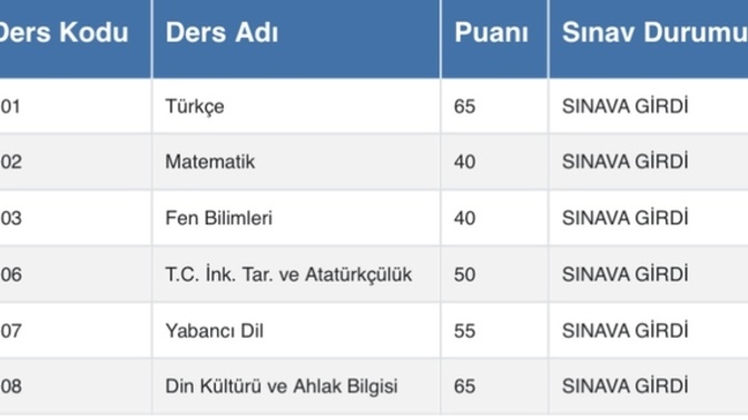 8 sınıf açıköğretim okuyorum Sınav sonuçlarım sizce nasıl?