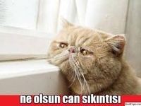 Canınız çok sıkıldığında ne yapıyorsunuz?