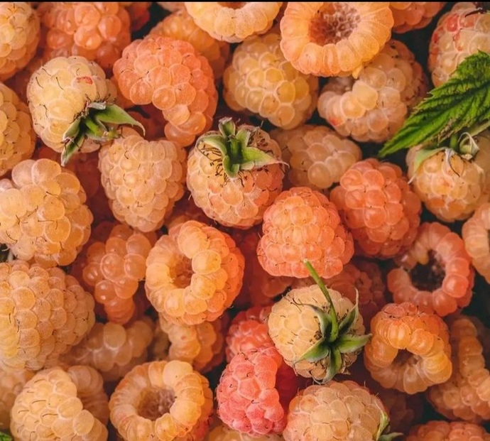 😍😛Görselde görmüş olduğun muazzam meyvelerden hangisini en çok yemek isterdin😏😅?