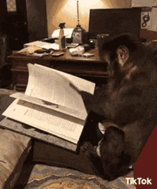 Sık sık kitap okur musunuz?