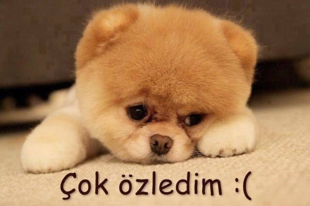 Sadece bir gün de sanki bir yıl geçmiş gibi özlediğiniz birisi var mı?