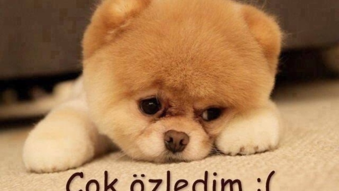 Sadece bir gün de sanki bir yıl geçmiş gibi özlediğiniz birisi var mı?