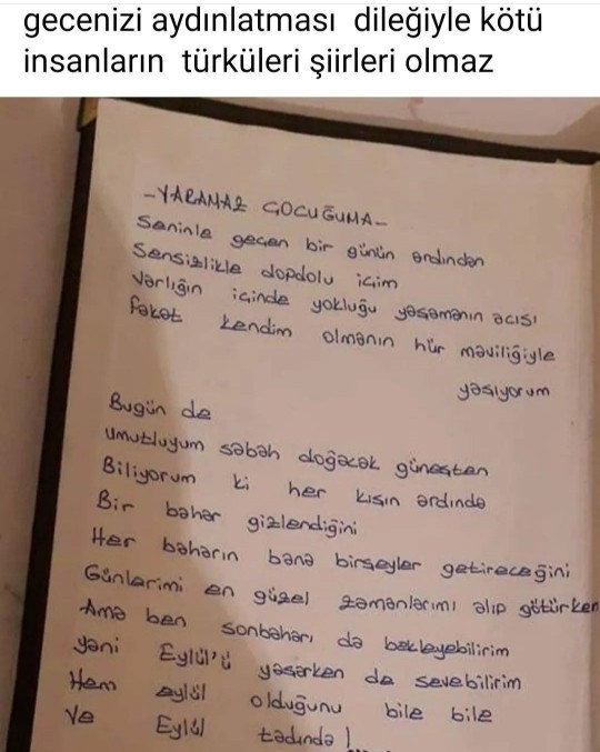 Şiir seven insanları nasıl bulursunuz?