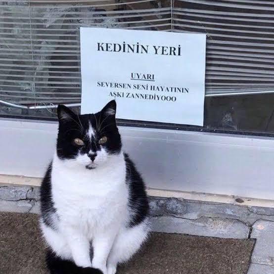 Hayatınızın aşkı ile nerede nasıl tanışmak istersiniz?