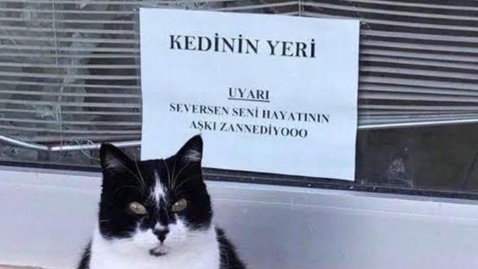 Hayatınızın aşkı ile nerede nasıl tanışmak istersiniz?