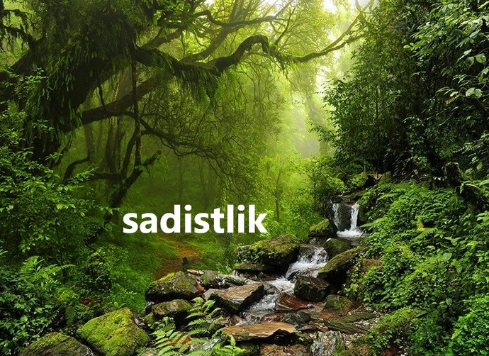 Sadistlik erkekliğin doğasında olan bir şey mi?